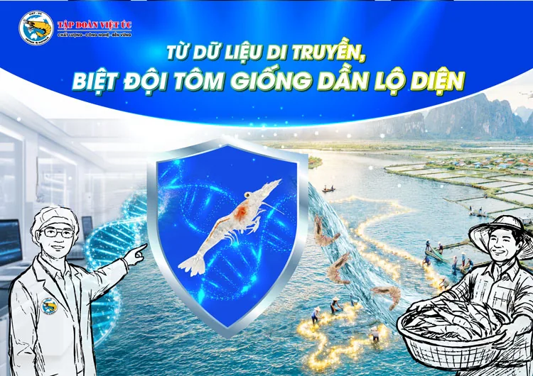 Shrimp broodstock launch campaign visual